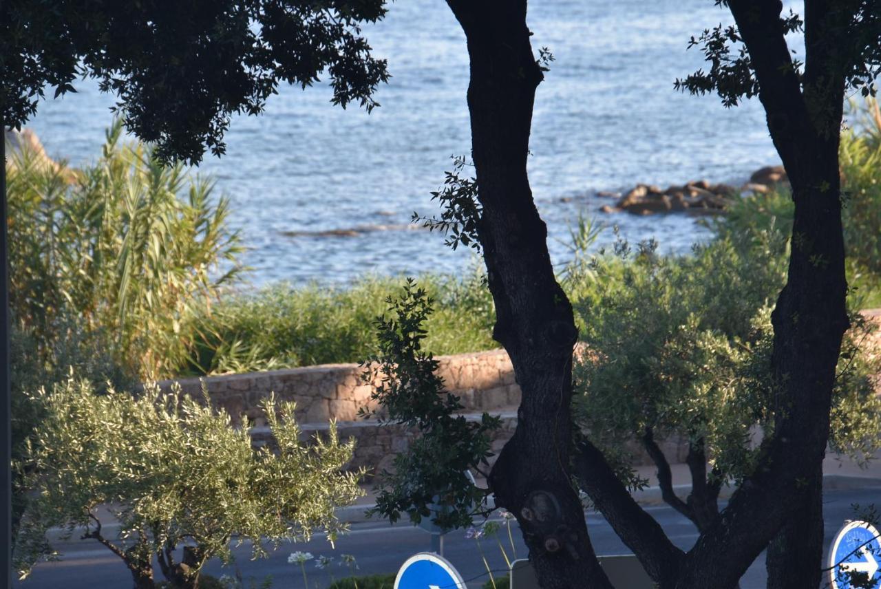 Apartment Briloc Route Des Iles Sanguinaires Ajaccio (Corsica)